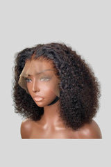 Kinky Curly Human Hair Wig| Premium Curly Human Hair Wig 180% Density| 13X4 HD Lace Front Human Hair Wig - JadeLux